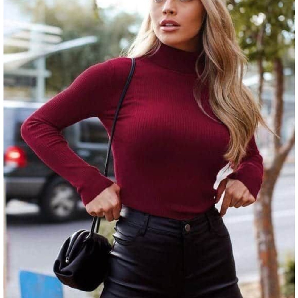 Express Cranberry Ribbed Turtleneck Sweater